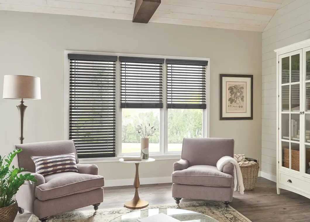 Window Blinds Available for All Living Rooms